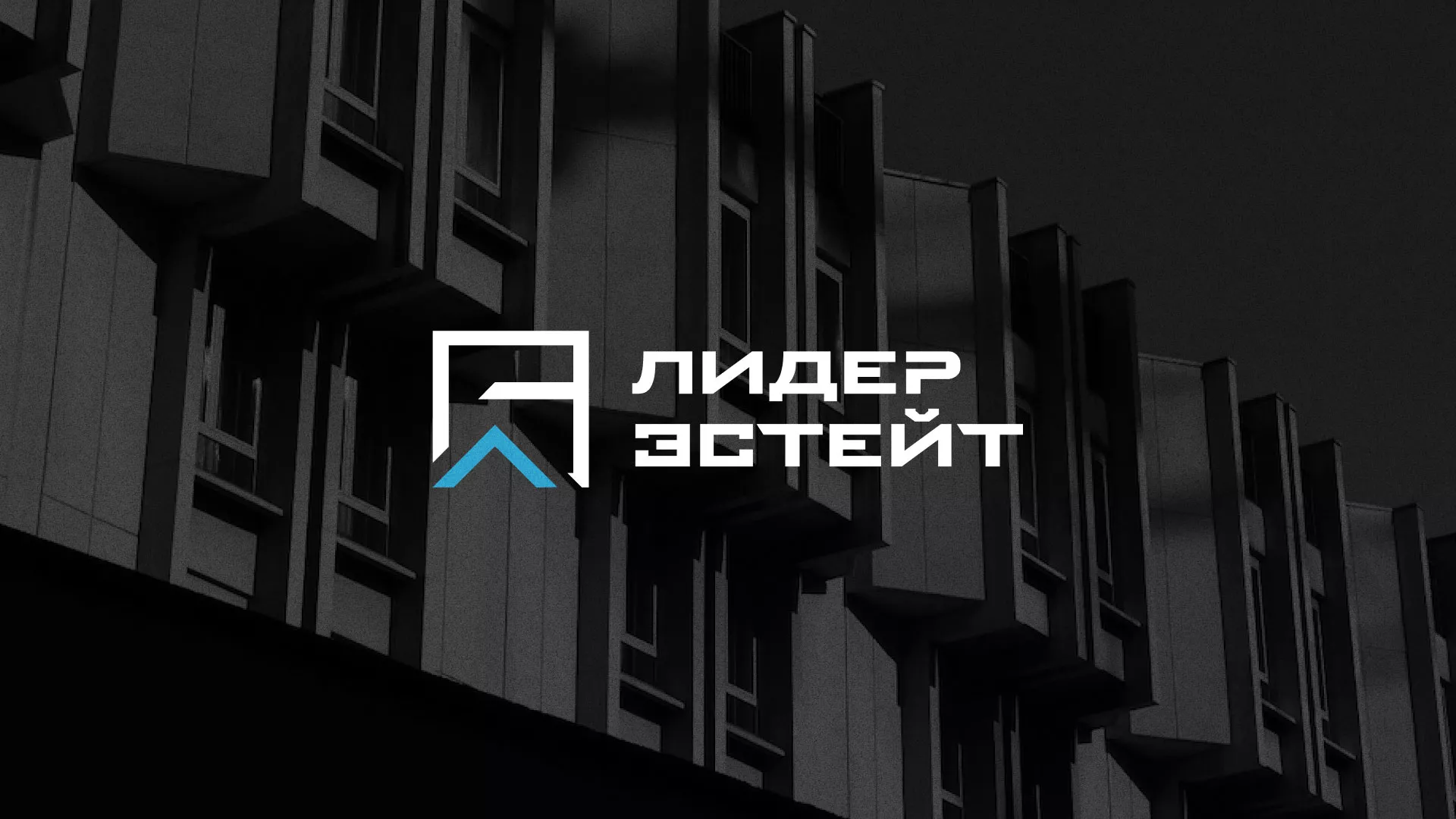 Разработка логотипа агентства недвижимости «Лидер Эстейт» в Нижневартовске